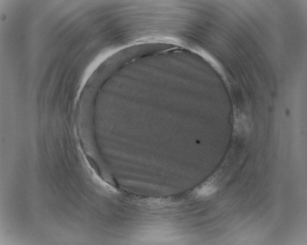 X0000066531102200604071610