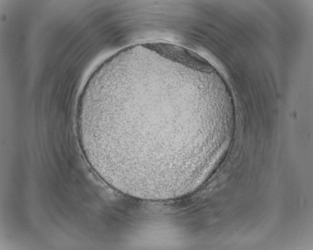 X0000066531104200604071610