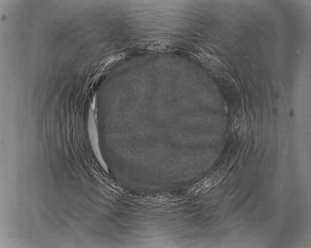 X0000066531106200604071610