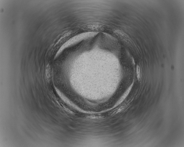 X0000066531107200604071610