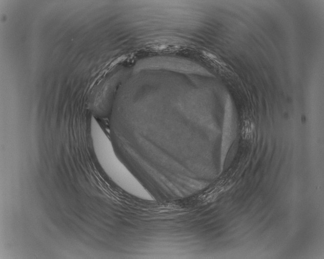 X0000066531108200604071610