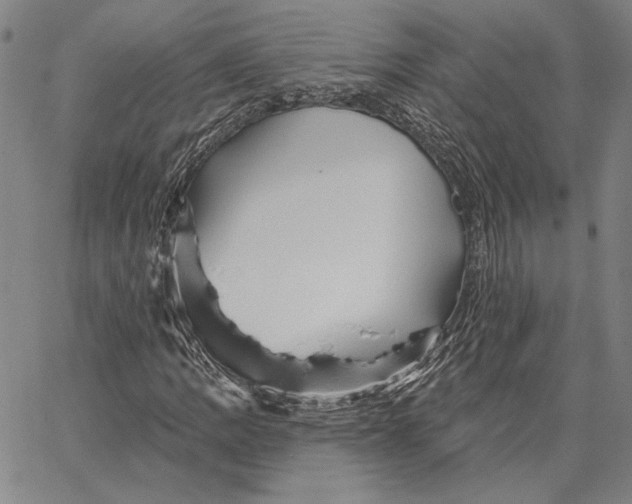 X0000066531109200604071610