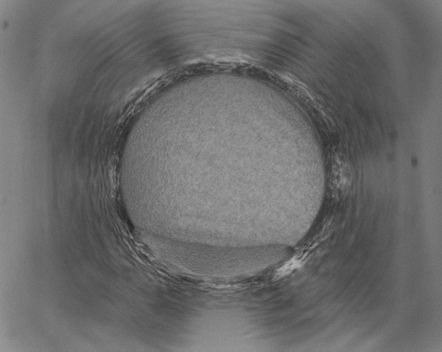 X0000066531110200604071610