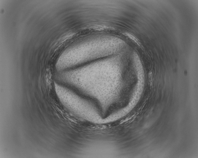 X0000066531111200604071610