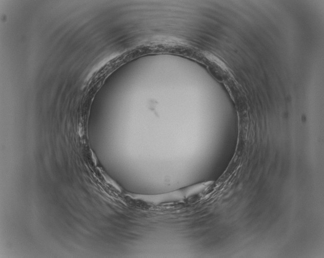 X0000066531112200604071610