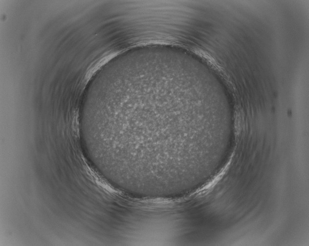 X0000066531113200604071610