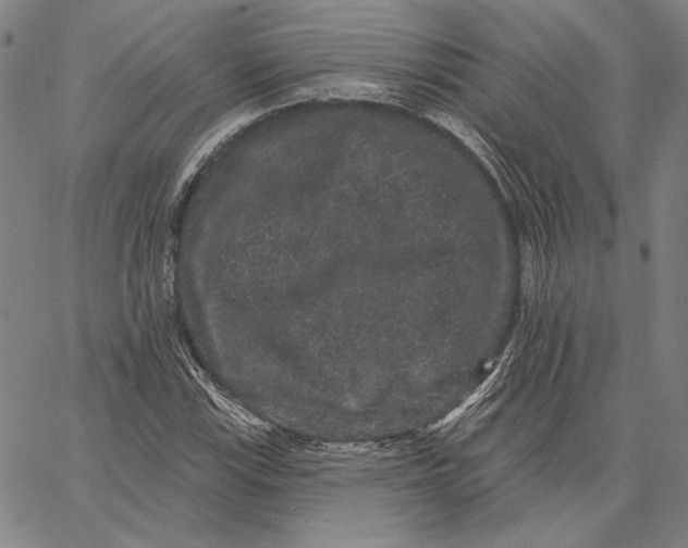 X0000066531115200604071610