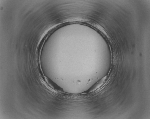 X0000066531116200604071610