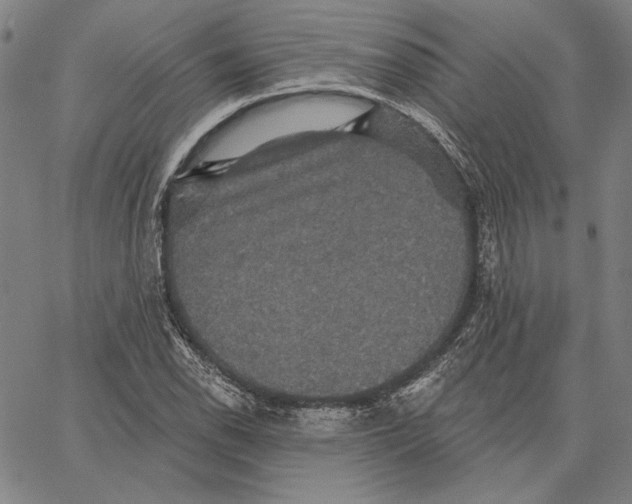 X0000066531118200604071610