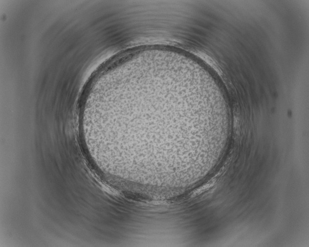 X0000066531119200604071610