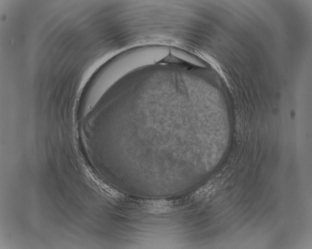 X0000066531120200604071610