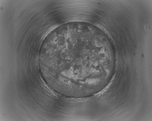 X0000066531121200604071610