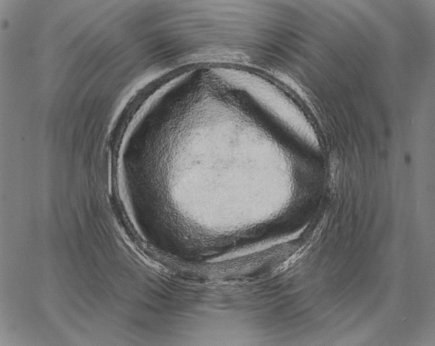 X0000066531123200604071610