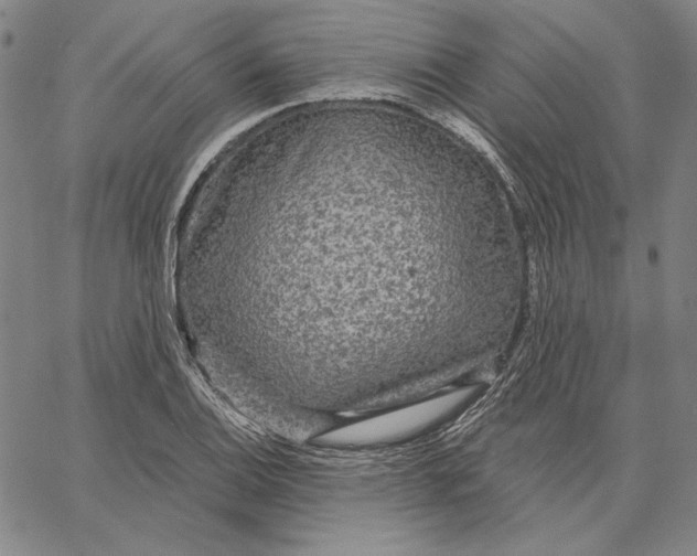 X0000066531124200604071610