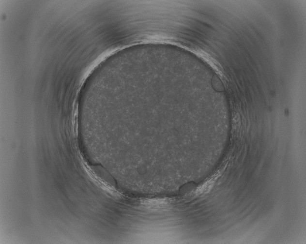 X0000066531126200604071610