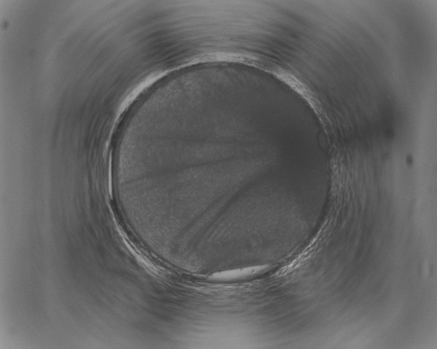 X0000066531127200604071610