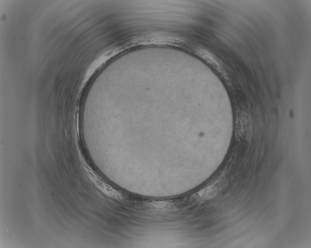 X0000066531130200604071610