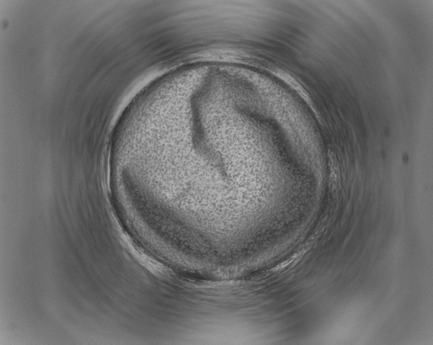 X0000066531131200604071610