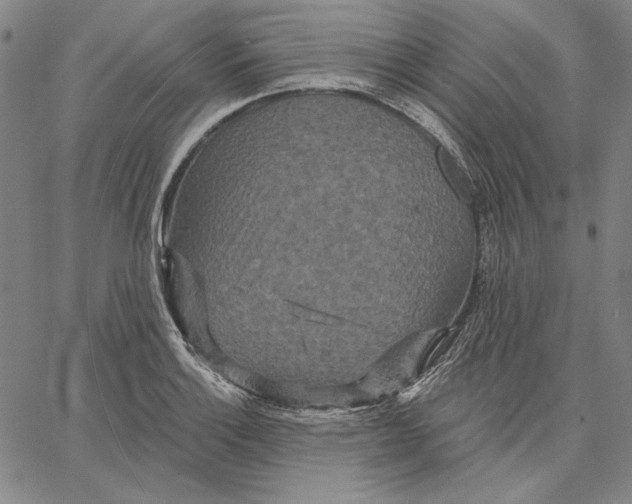 X0000066531132200604071610