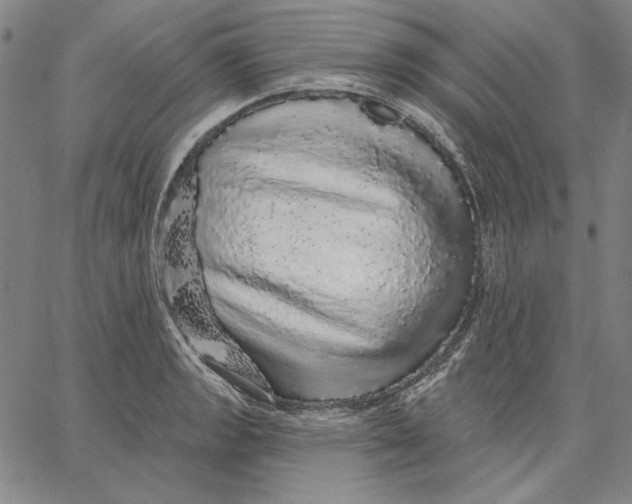 X0000066531133200604071610