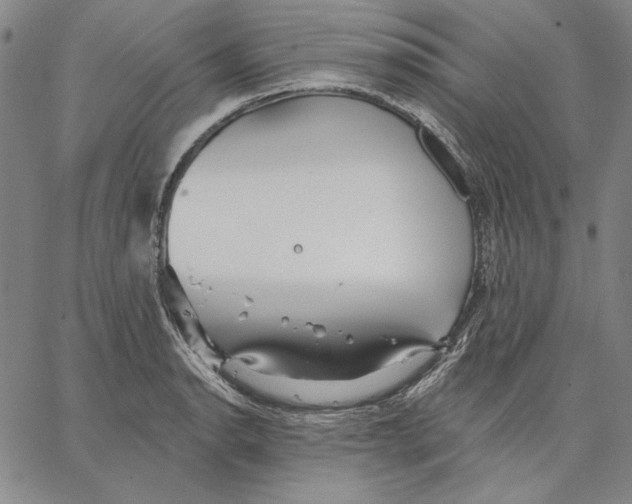 X0000066531134200604071610