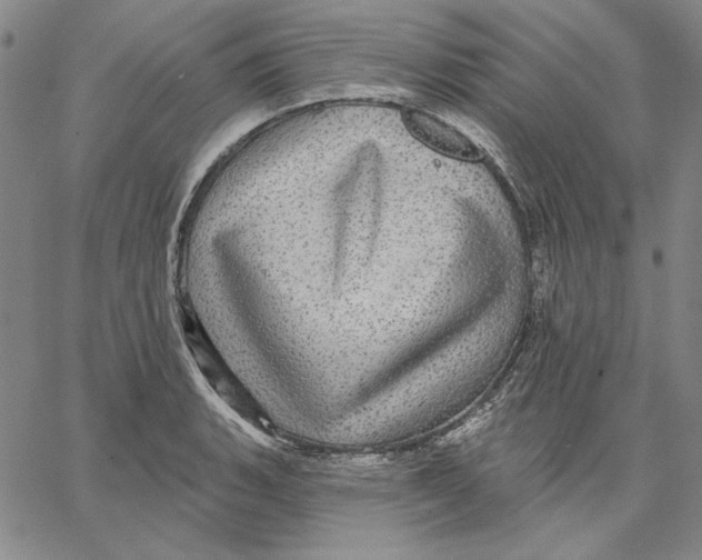 X0000066531135200604071610