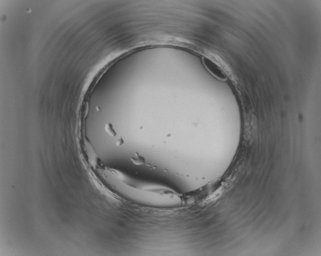 X0000066531136200604071610