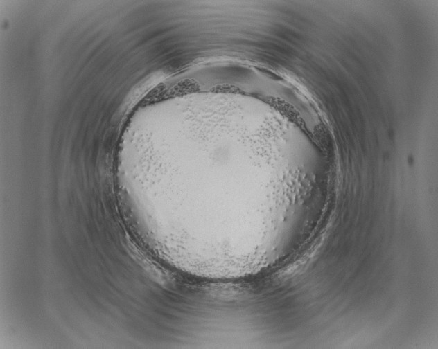 X0000066531137200604071610