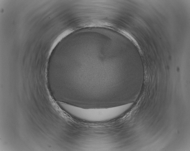 X0000066531138200604071610