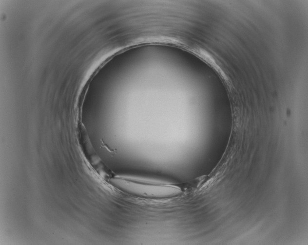 X0000066531140200604071610