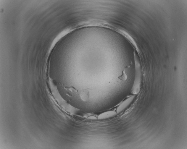 X0000066531146200604071610