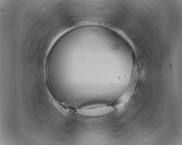 X0000066531148200604071610