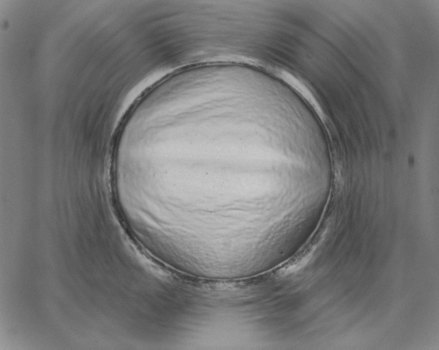 X0000066531149200604071610