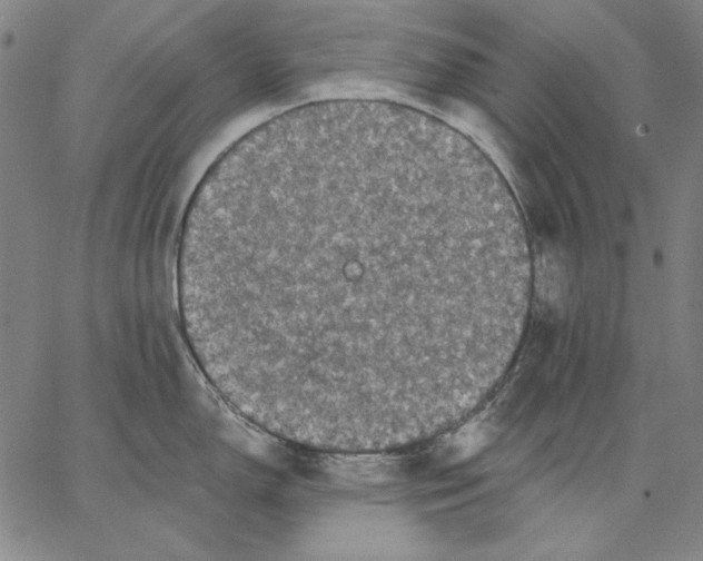 X0000066531150200604071610