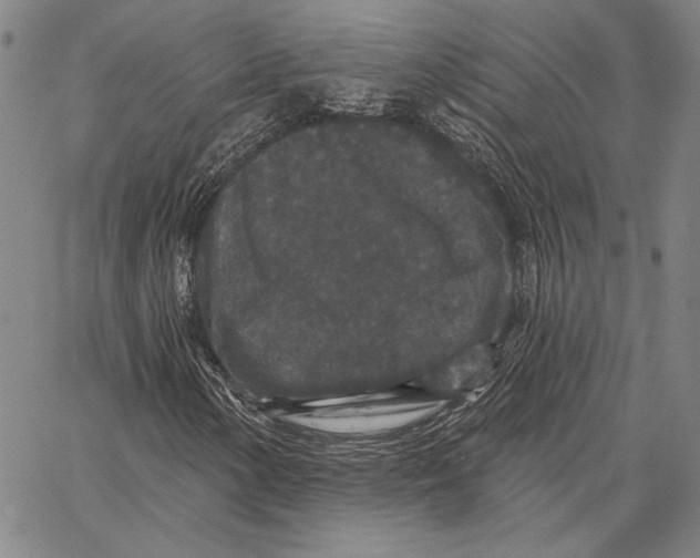 X0000066531154200604071610