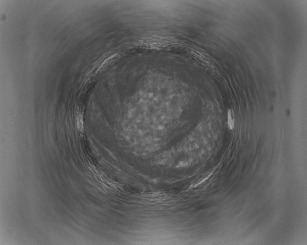 X0000066531155200604071610