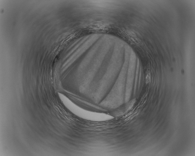 X0000066531156200604071610