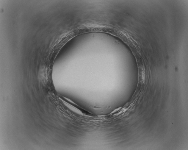 X0000066531157200604071610