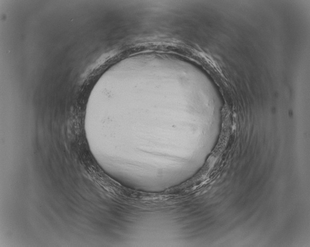 X0000066531159200604071610