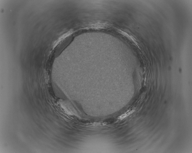 X0000066531160200604071610