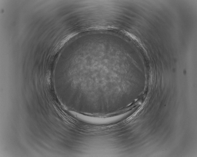 X0000066531161200604071610