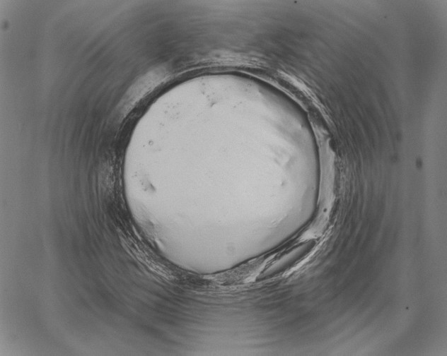 X0000066531163200604071609