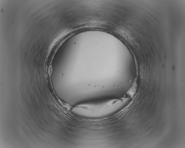 X0000066531164200604071609