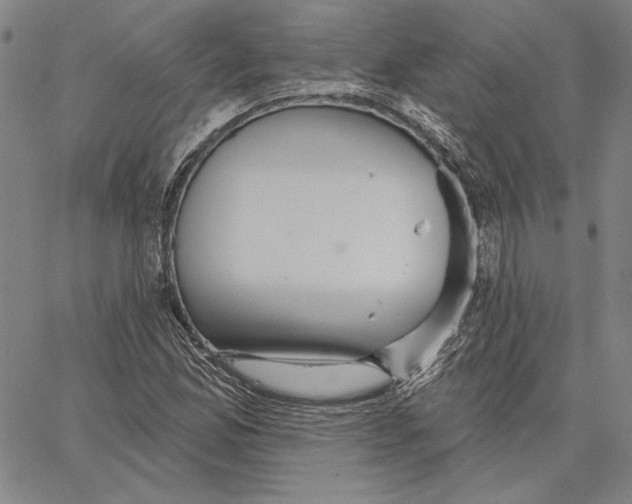 X0000066531165200604071609