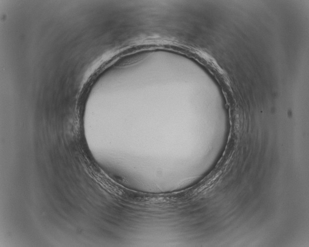 X0000066531167200604071609