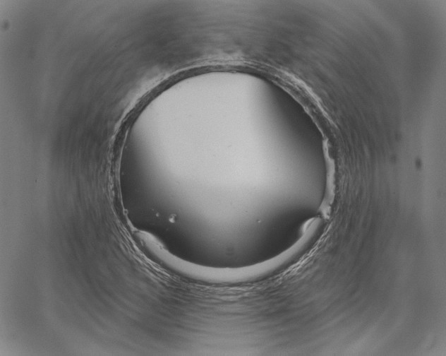 X0000066531168200604071609