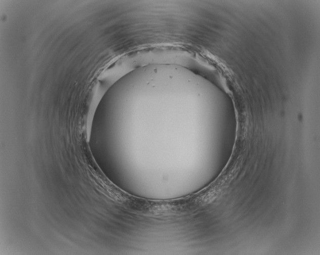 X0000066531169200604071609