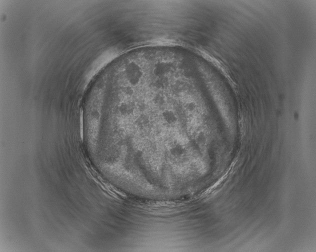 X0000066531171200604071609