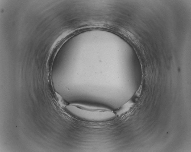 X0000066531172200604071609