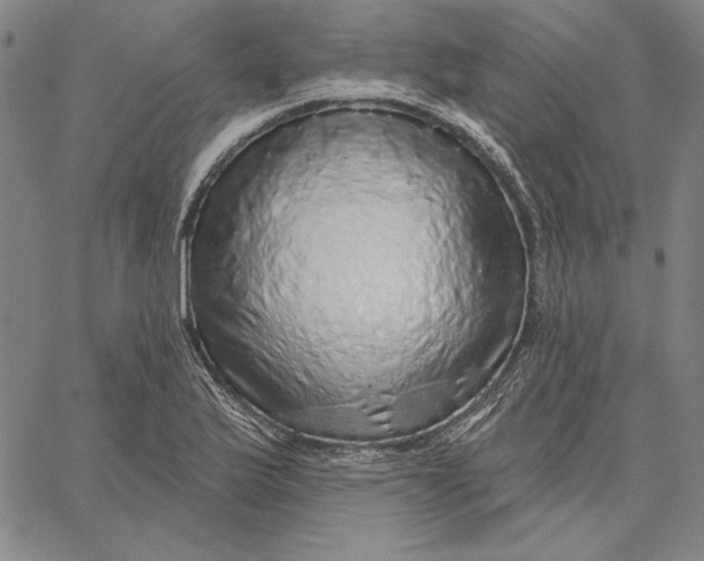 X0000066531175200604071609